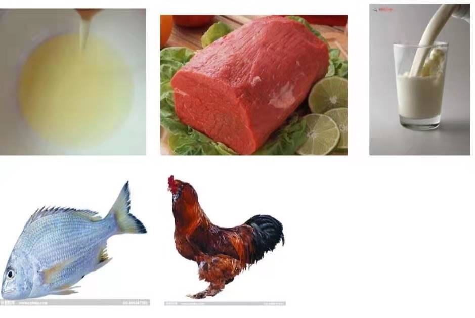 饮食|血透患者的饮食健康知识宣教