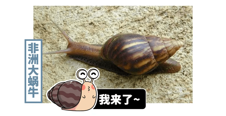c81f8748e747421d8d7b1cb404121a49.png