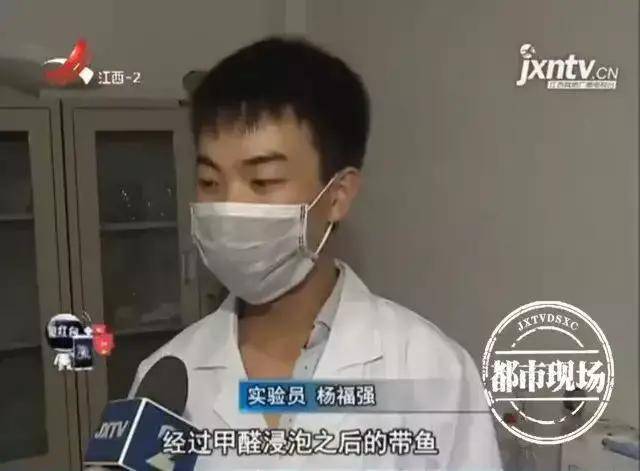 甲醛|老公买的这种鱼，差点害老婆流产！医生怒斥：你怎么敢买它