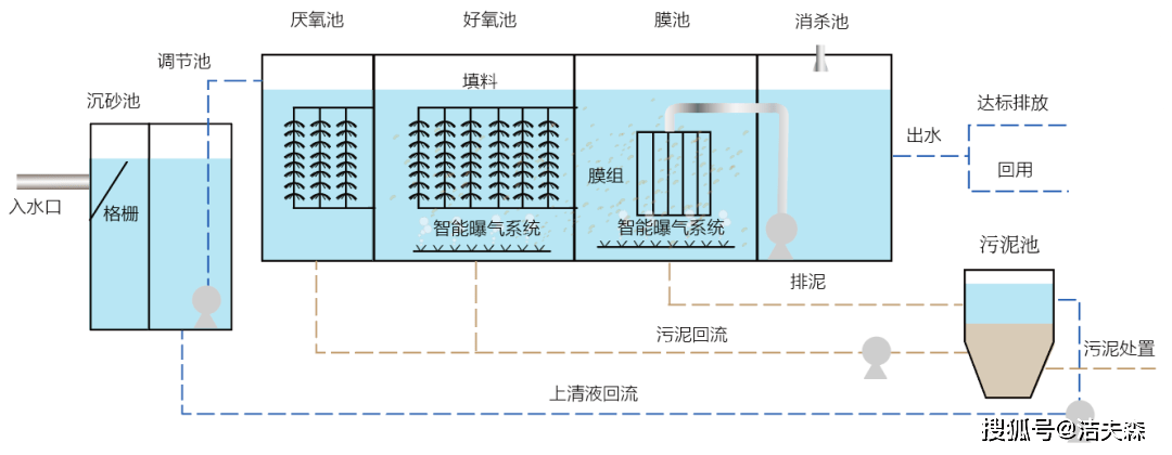 安科瑞朱以真祺茂堂生物