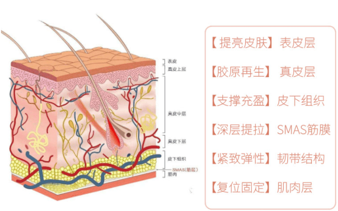 蛋白减龄or毁脸，同样是线雕到底差在哪儿？