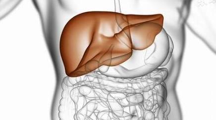 肝脏|身体出现这些表现时，肝脏可能出现了损伤，别不当回事！