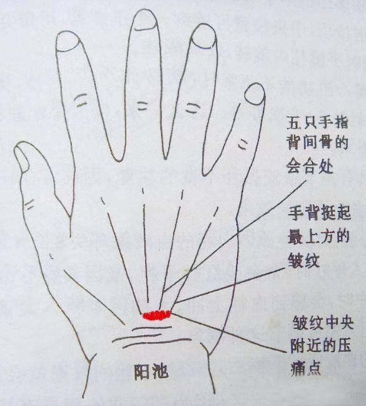 降低|血糖高的人，饭后有3种表现，一个不占，血糖控制得还不错
