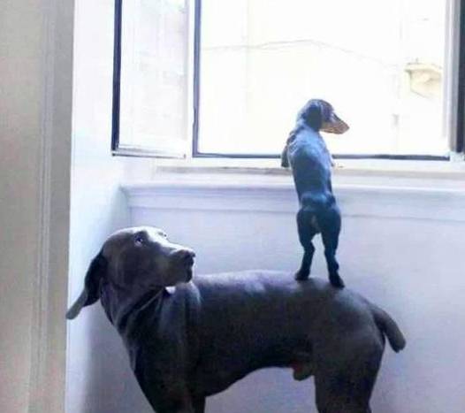 同学|爆笑一下：我弟弟，当年上幼儿园的时候，在兜里藏了爆米花