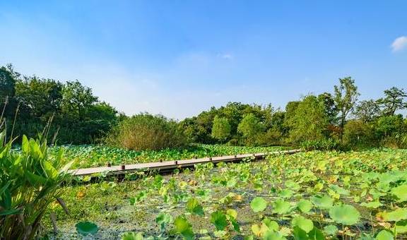 常州市郊的小众湿地公园，结合历史和人文，打造特色景观