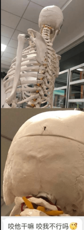 搞笑段子：前女友跟老媽相處的非常好，甚至她結婚邀請了老媽… 搞笑整蠱 第7张