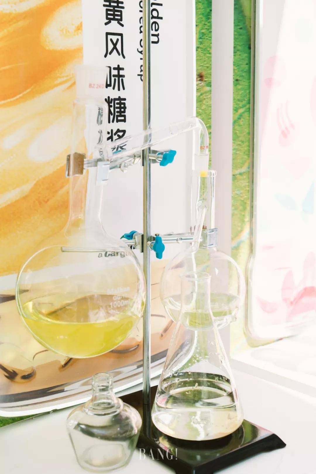 Pop-up|新葉新生！Cargill Pop-up Store掀起綠色健康生活新潮流！