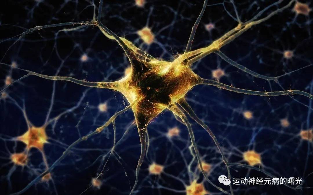 癥狀|運動神經元患者康復案例5