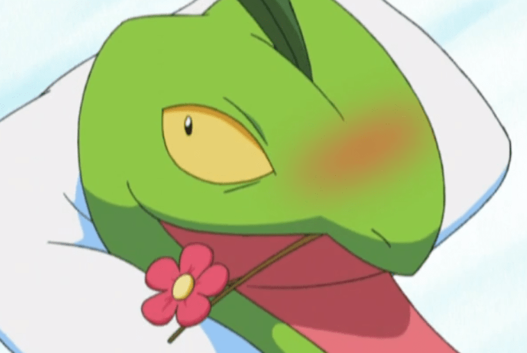 《宝可梦》蜥蜴王的又一个黑历史,因为失恋导致无法使用技能?_森林