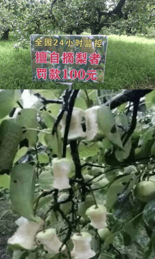 開心一刻：一美女路考，因為太緊張了，錯把銀行卡遞給考官，結果 搞笑整蠱 第8张