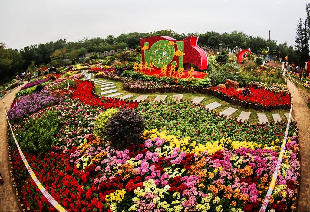 冒雨游花境一十月四日洛阳中国国花园花境掠影