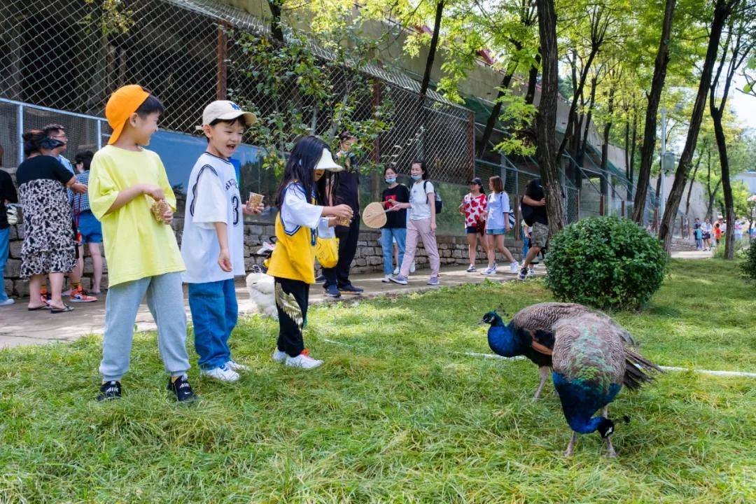 如山|必须收藏！秋日不容错过的自驾线路，包揽湖光山色、休闲野趣，看完就想出发！