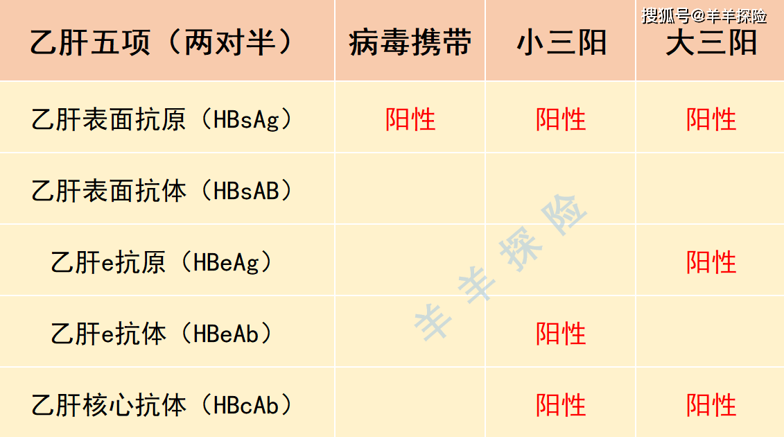 乙肝病毒攜帶小三陽大三陽怎麼買保險