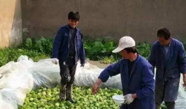 因为|才知道,这4种食物都是用脚踩出来的,网友:第3种我每天都在吃