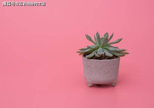 救赎|未来5天,白茶清欢,难以忘记,原地等待,懂得珍惜,唯你救赎