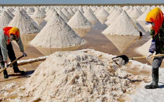 因为|才知道,这4种食物都是用脚踩出来的,网友:第3种我每天都在吃