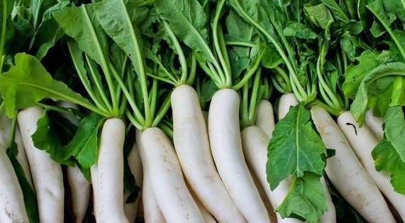 佛手瓜功效与作用能生吃吗 cfa04afd2718490398f134624b57605c.jpeg