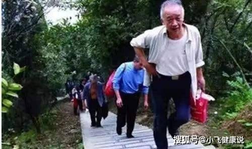 调整|糖尿病患者越来越瘦？不用太过着急，看完回去调整就能稳定血糖了