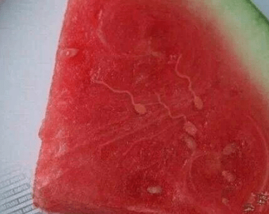 爆笑GIF圖：姑娘收起你那幽怨的眼神吧 搞笑整蠱 第8张