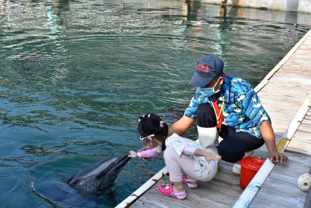 分界洲岛|欢度国庆 | 海岛亲子游，不负假期，不负亲子时光！