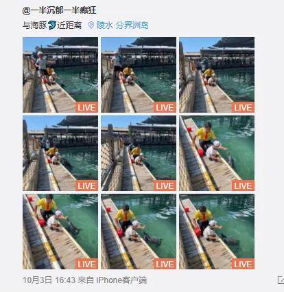 分界洲岛|欢度国庆 | 海岛亲子游,不负假期,不负亲子时光!