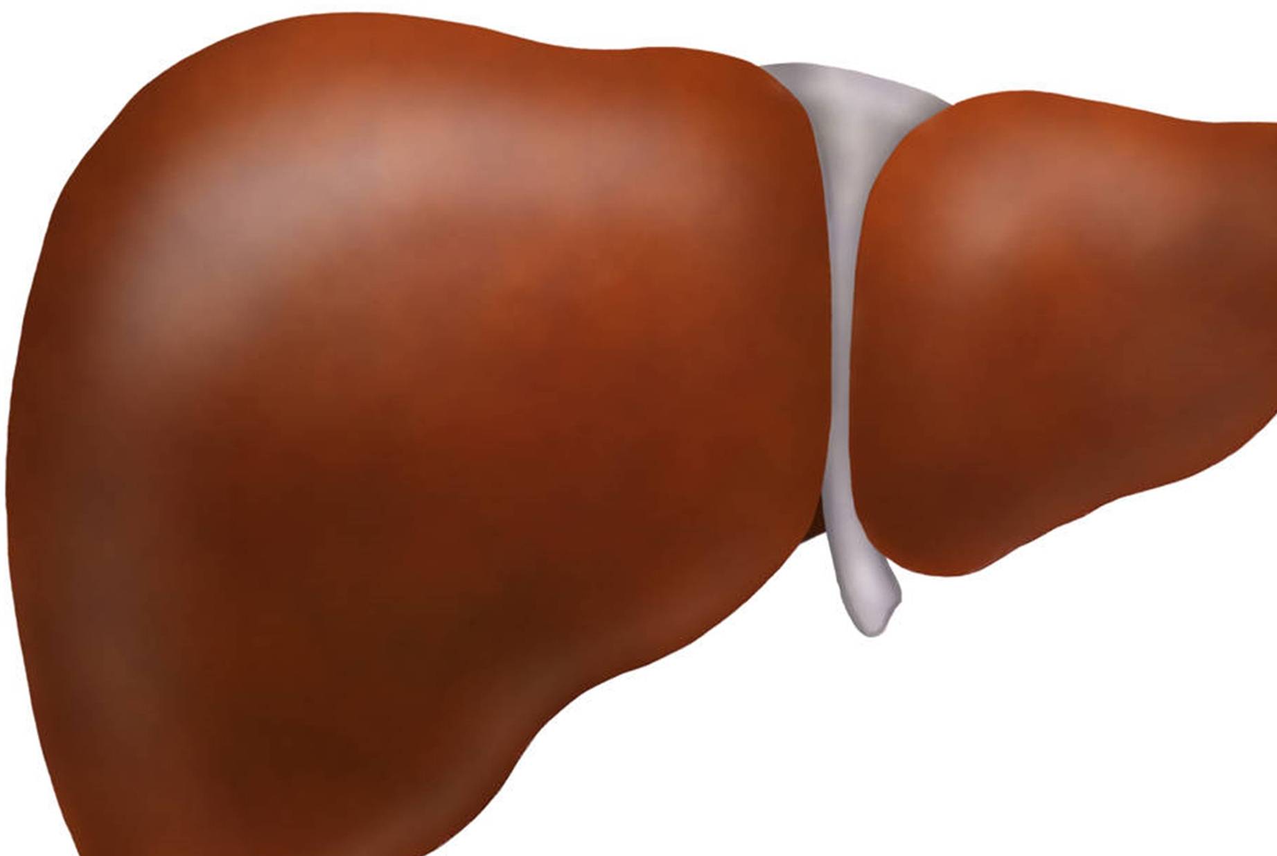 治疗|B超检查时，肝脏出现6大变化，建议严肃对待，别轻易排除肝硬化