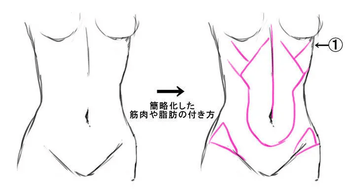 板绘如何画一个迷人的小腹
