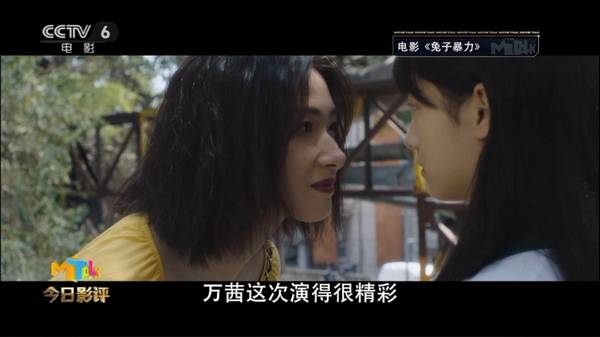 电影|万茜表演遭到质疑？马戎戎做客《今日影评》解析《兔子暴力》