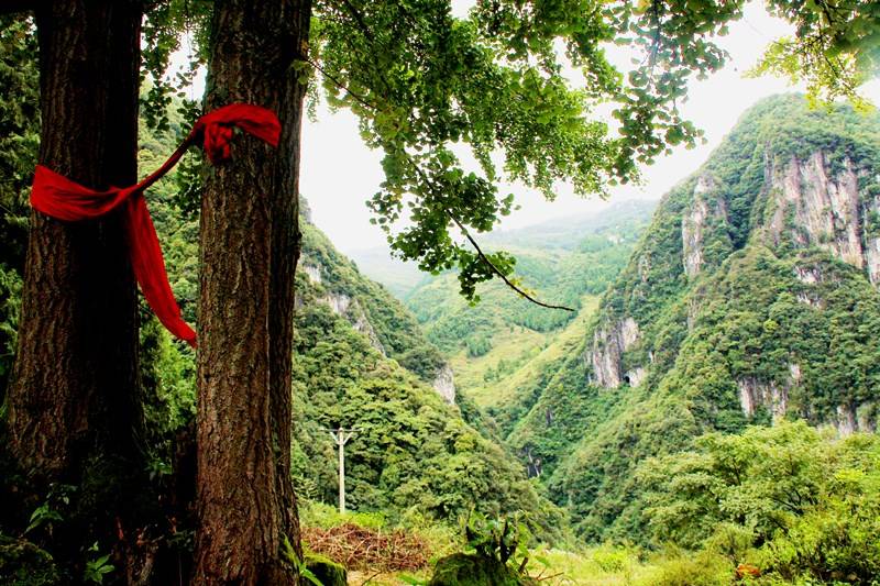 古蔺丹桂镇风景这边看过来