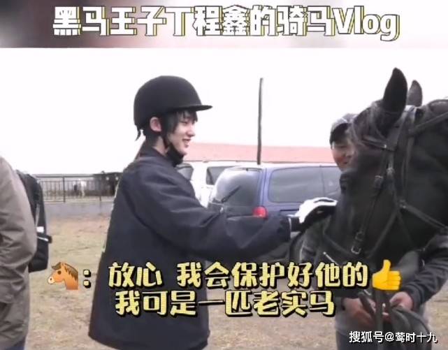 尔导|黑马王子丁程鑫骑马训练vlog,对马毛过敏也要继续坚持,和导演互动很有父子感