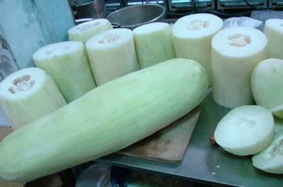 大自然的"植物泻药"出现了,晚饭后吃一点,肠道活跃利于排便_冬瓜