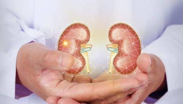 肾脏|你清楚“肾脏疾病”吗？血肌酐，是否检测肾脏健康程度的指标