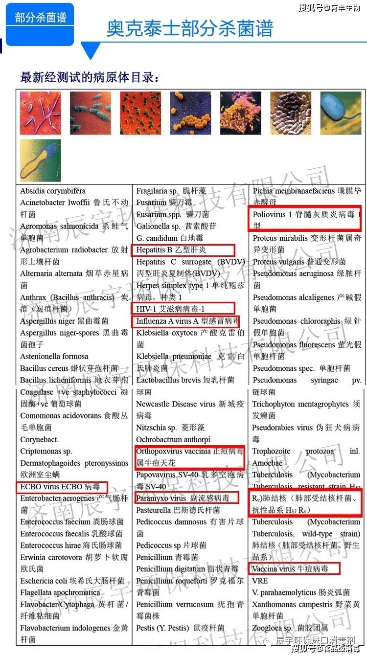 奥克泰士|学校幼儿园环境消毒的重要性