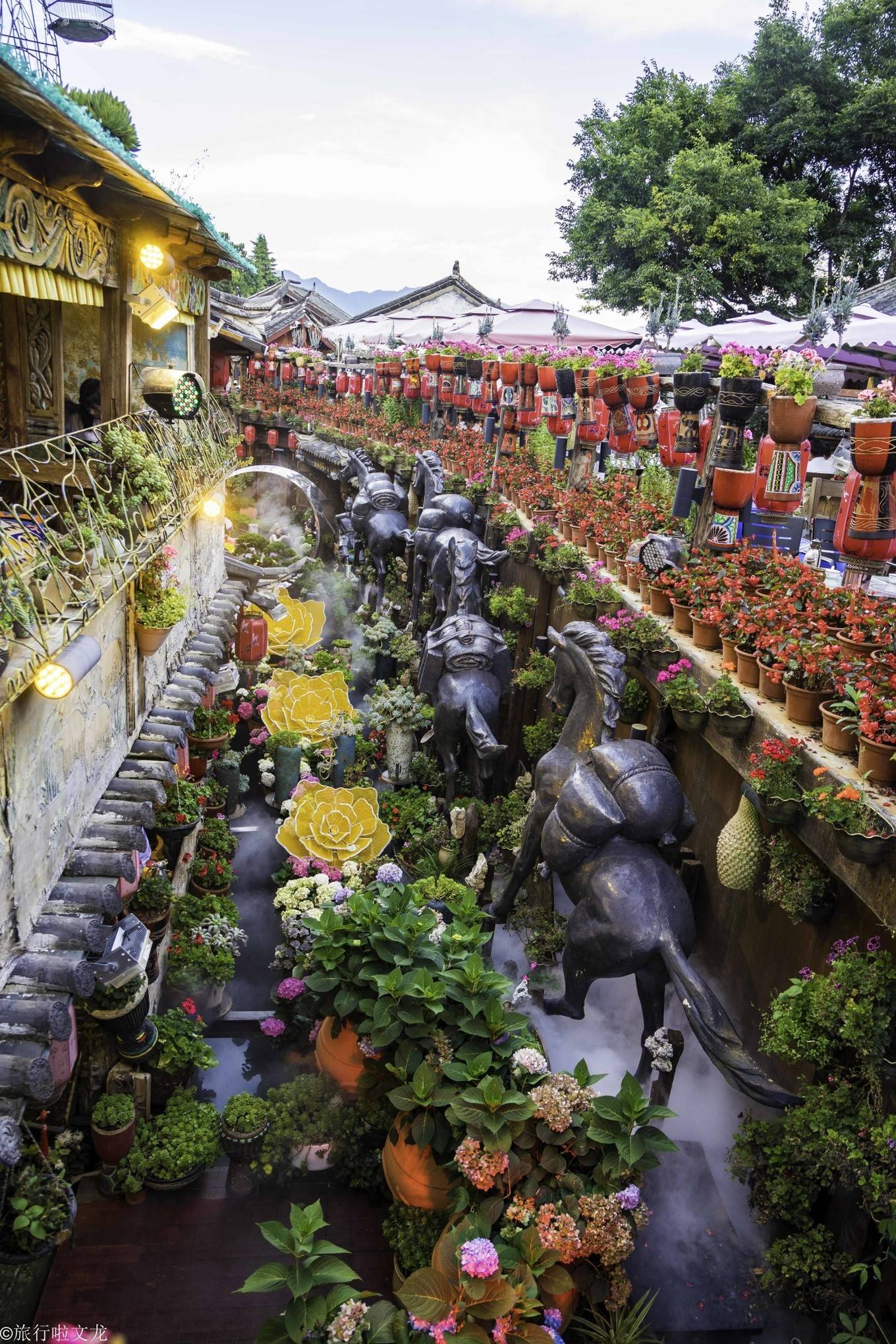 氛围|丽江古城听说10月空城了，8月份还是这个样子，虽商业但人潮汹涌