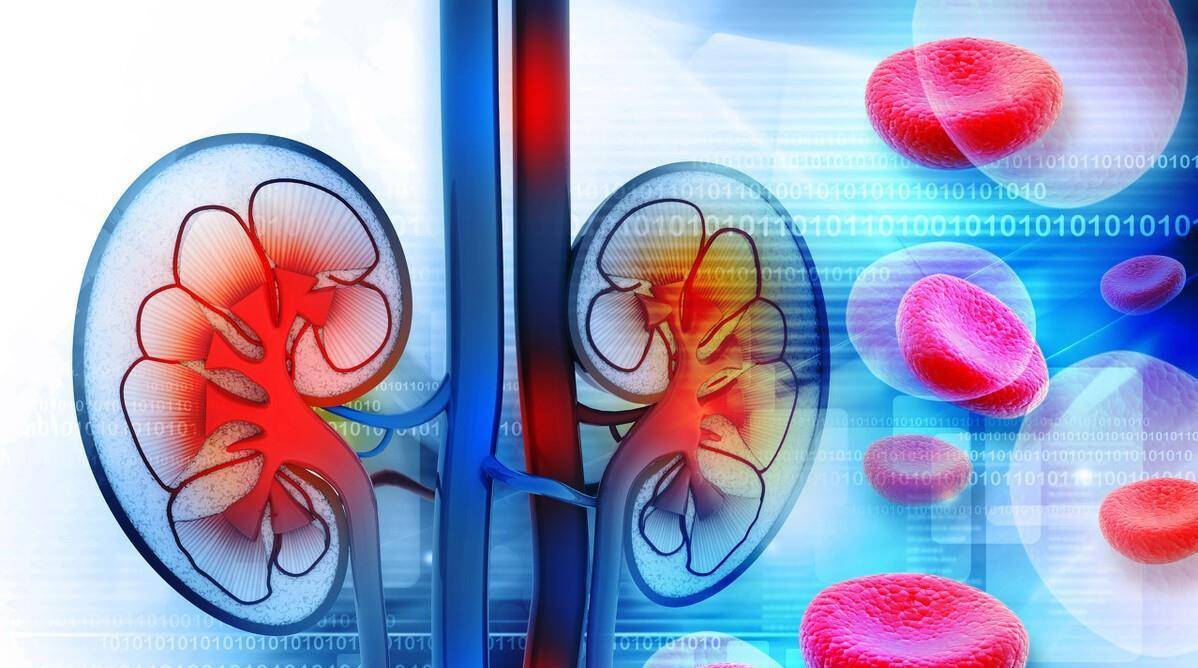 控制|糖尿病一定会造成肾脏损伤吗?想要保护肾脏,应该注意什么?