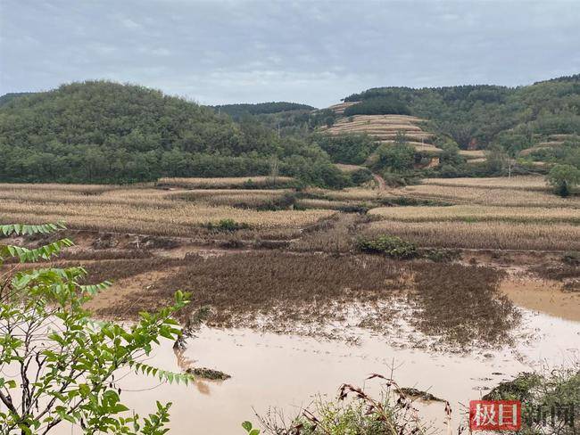 安泽县洪水图片