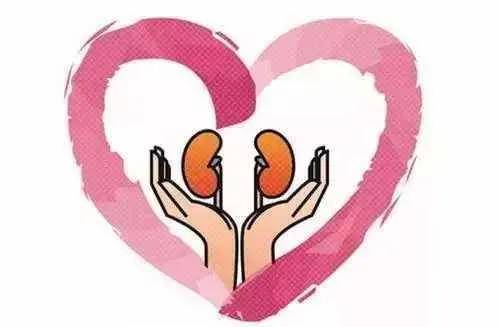 肾脏|医说科普|您到底“肿”么了?