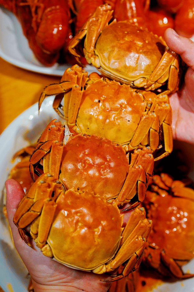 72f36263cae7403783bd6f1c93e1c934.png