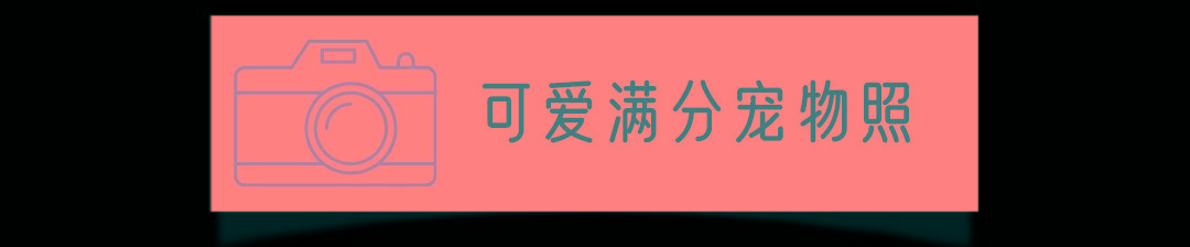 小时候拯救社恐星人！「自助照相馆」来了