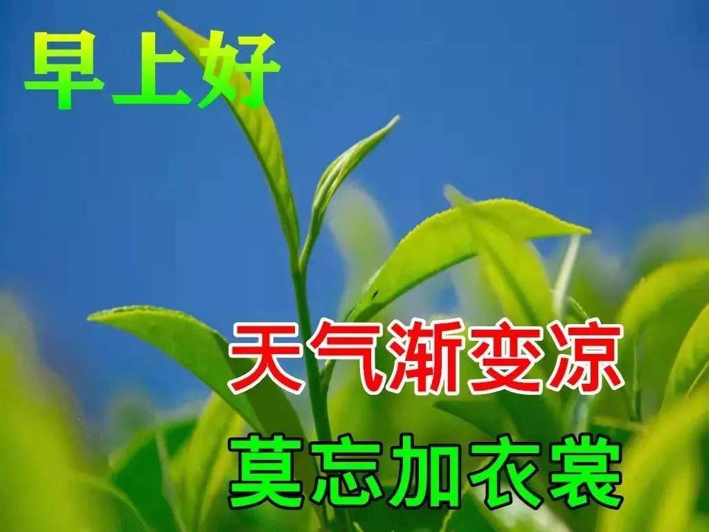 2021年10月11日星期一清晨早上好问候祝福图片 周一最新早安问候祝福