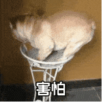 厕所|90%的孩子，从来不在幼儿园里大便，原因竟然是…