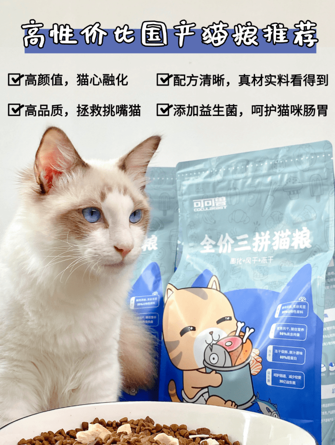 6ad346d2e02e42b6a8aff12aef8b1604.png
