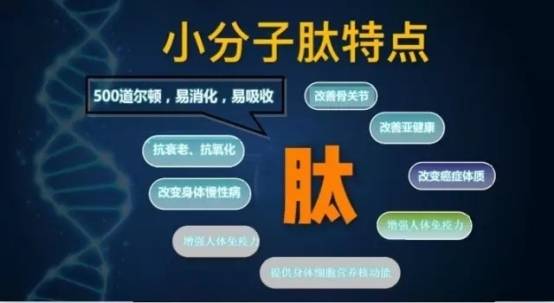 人体胶原蛋白肽是否有用？
