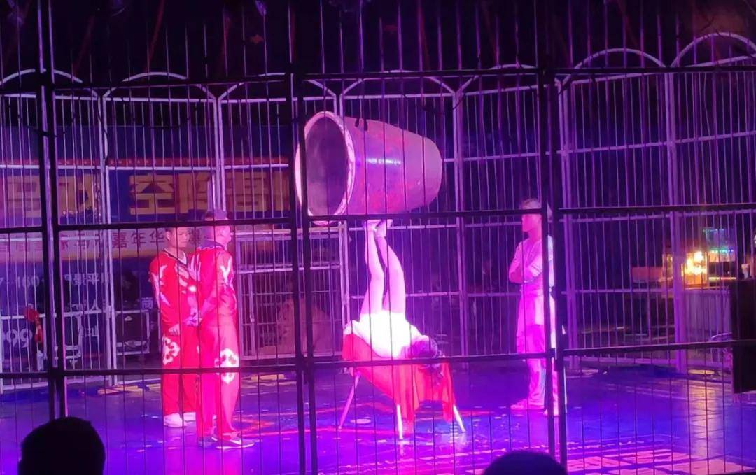 脚蹬大缸等高难度表演引人入胜扣人心弦!