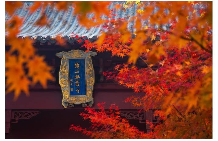 秋季栖霞山，藏在红枫里的南京
