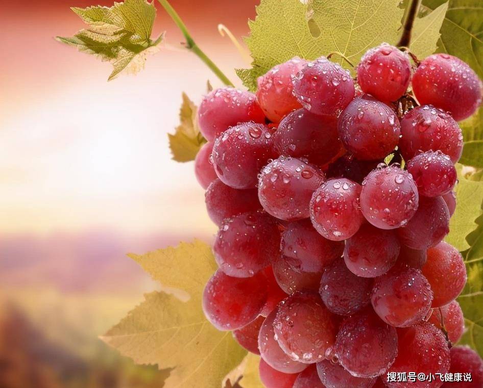 葡萄|女人不想显老，要多吃3种食物，清热袪暑，滋润身体