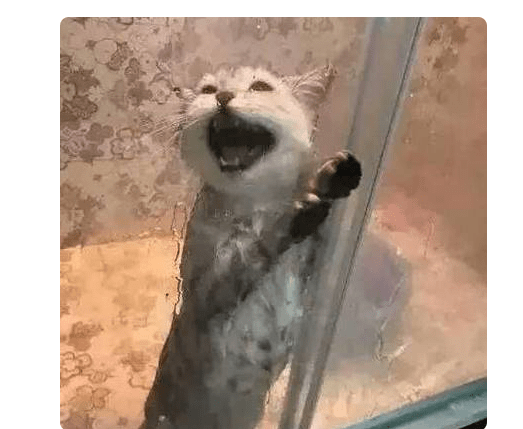 2ad9b4d419ff4af1b994462f85a5d703.png