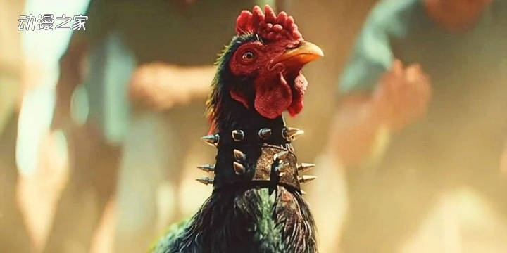 迷惑行為！《孤島驚魂6》斗雞小游戲遭動物保護組織PETA抗議