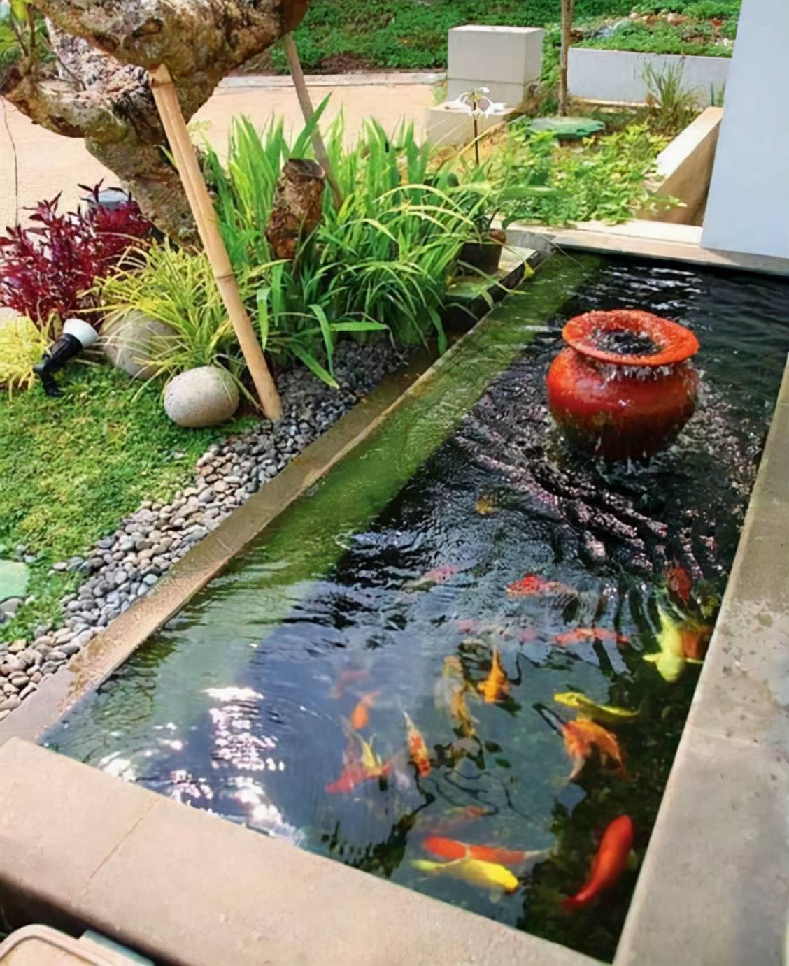 庭院鱼池位置图片