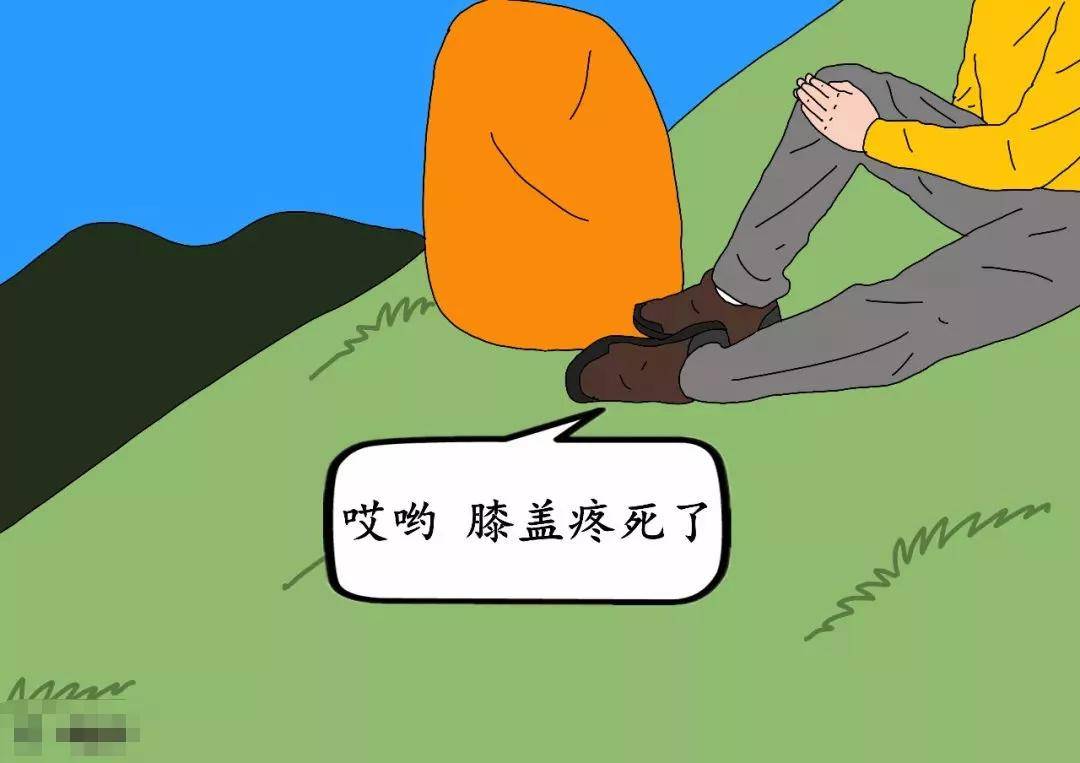 髋关节|重阳一起爬山吗？不是1秒下山的那种